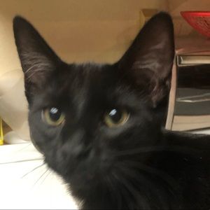 Meet your Posher, Cassie